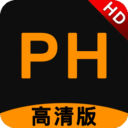 付费P站