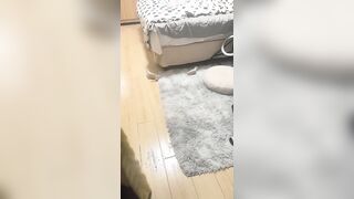 高挑长腿妹子全身粉嫩挺瘦的但是奶子还挺大