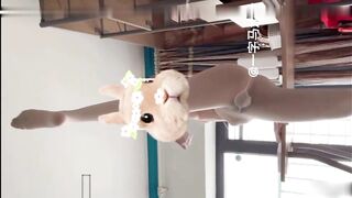 极品一字马长腿170CM大二舞蹈生解锁各种姿势