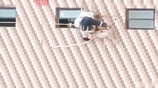 各路泼妇家庭破裂合集完整版