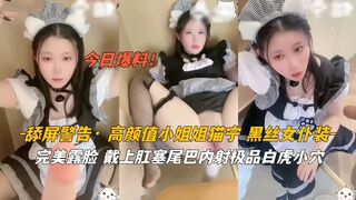 高颜值小姐姐猫宁黑丝女仆戴上肛塞尾巴内射
