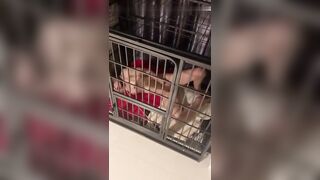 背着老婆在出租屋里养条母狗